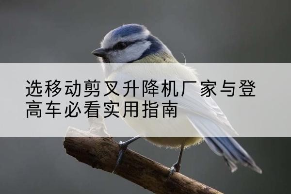 牟平电动升降机厂家-选移动剪叉升降机厂家与登高车必看实用指南