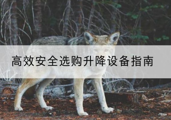 牟平升降货梯厂家推荐-*安全选购升降设备指南