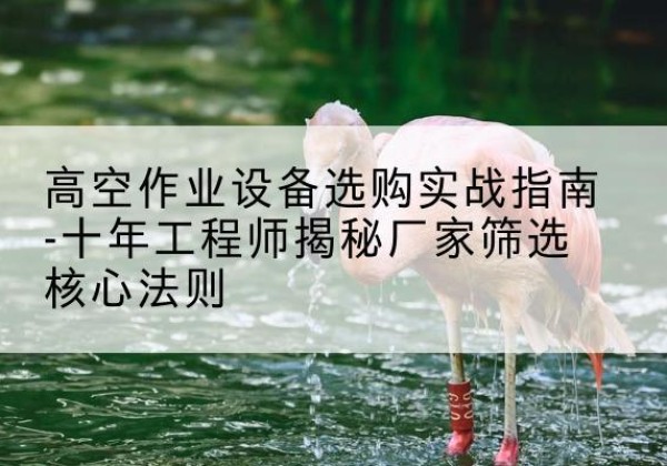 牟平剪叉式升降机厂家-高空作业设备选购实战指南-十年工程师揭秘厂家筛选核心法则