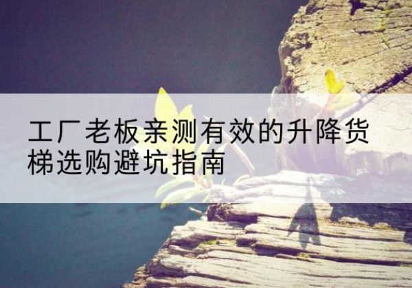 牟平升降货梯怎么选-工厂老板亲测有效的升降货梯选购避坑指南